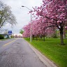 The Parkway By The Boathouse